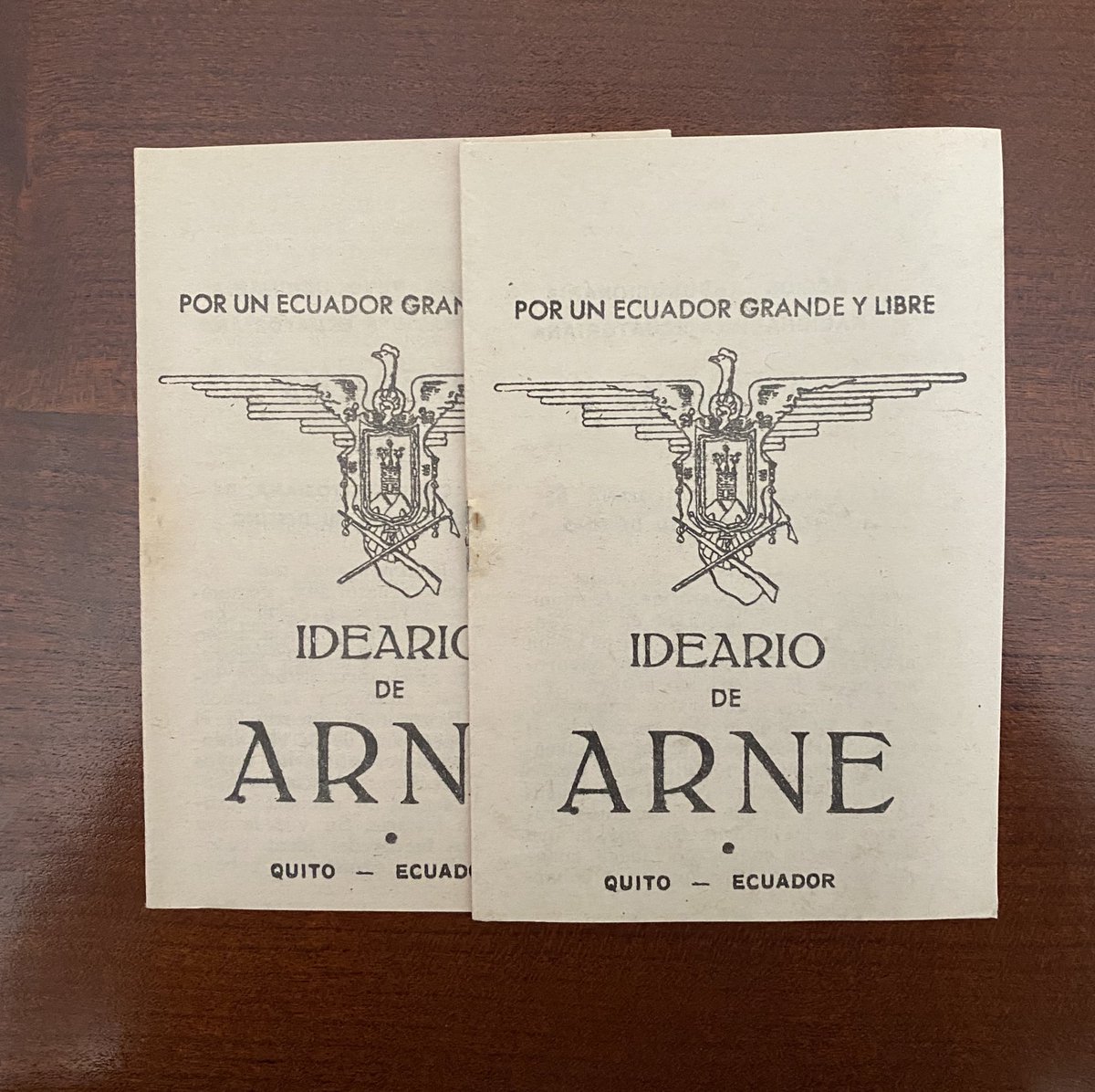 ARNE un movimiento político ecuatoriano de tercera posición, en contra del comunismo y el capitalismo, inspirado en los fascismos europeos adaptado a la realidad del Ecuador.

Comparto su visión plasmada en su ideario
drive.google.com/file/d/1drGIli…