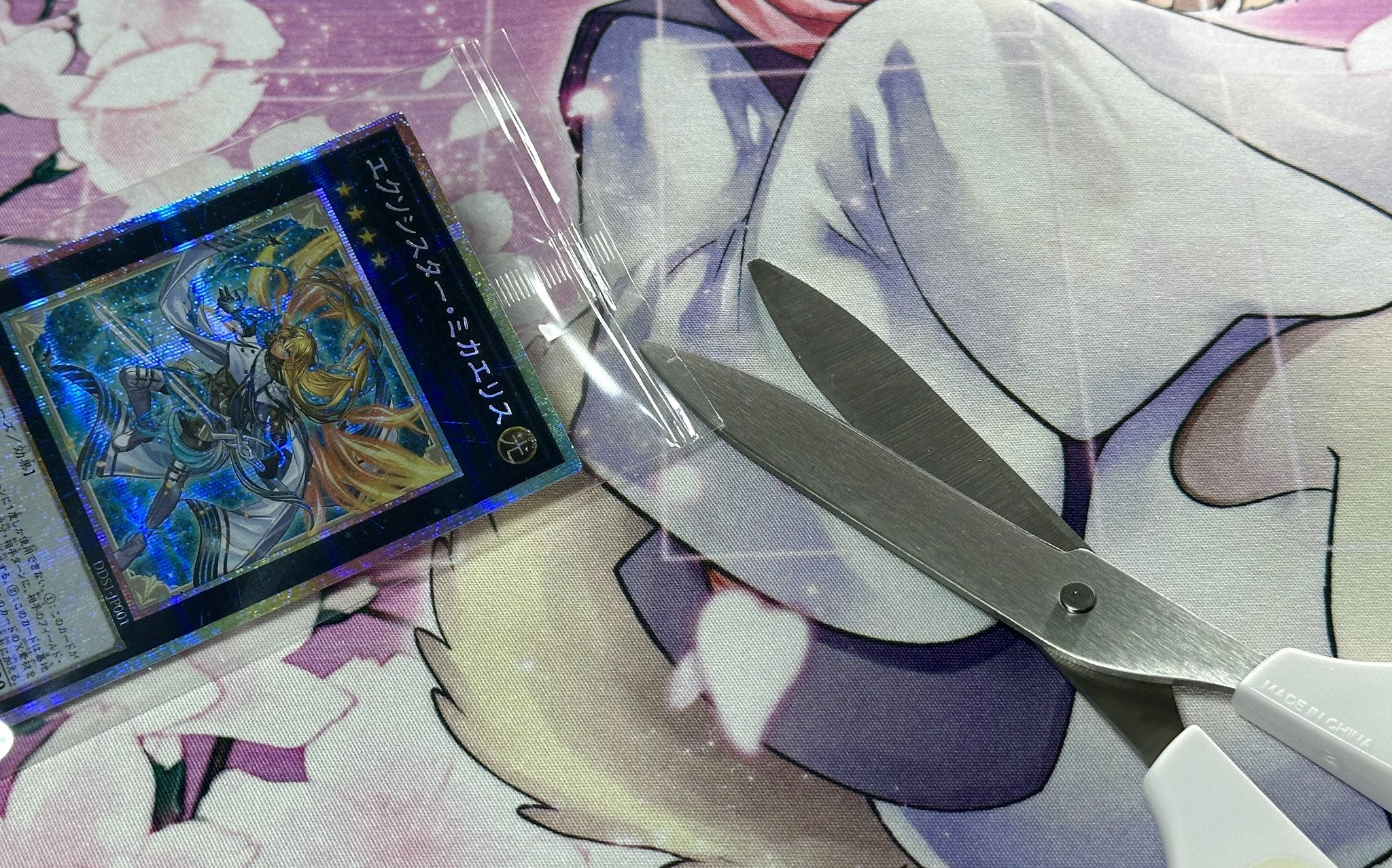 Ren (@tcg_ren) / X