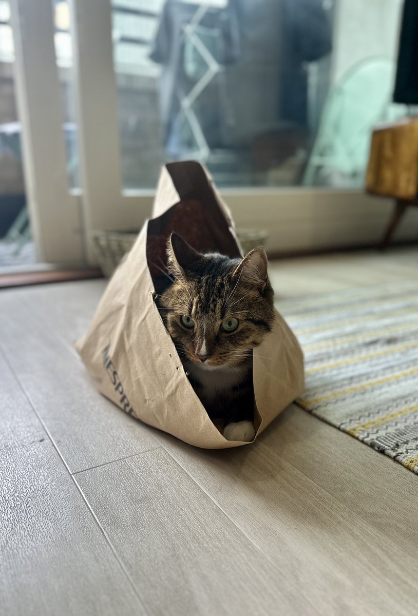 It's my birthday. 32. The big one. Got some Nespresso pods from my lovely wife. As you can see it's going very well for me AND Stanley 🎈