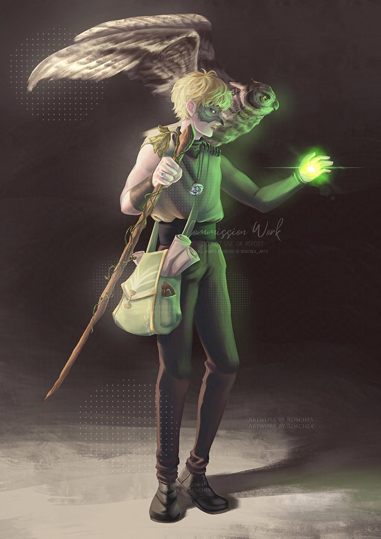roschea_arts's tweet image. A mysterious druid with his pet owl #dndcommission #ttrpg #druid #dungeonsanddragons