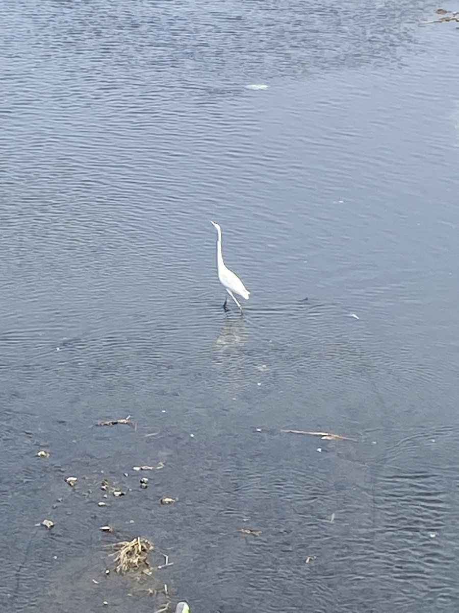 本日は会社帰りに総合公園２周３５分ｊｏｇ。１ケ月ぶりのラン🤣
疲労や仕事の忙しさなどで、サボっておりました😓