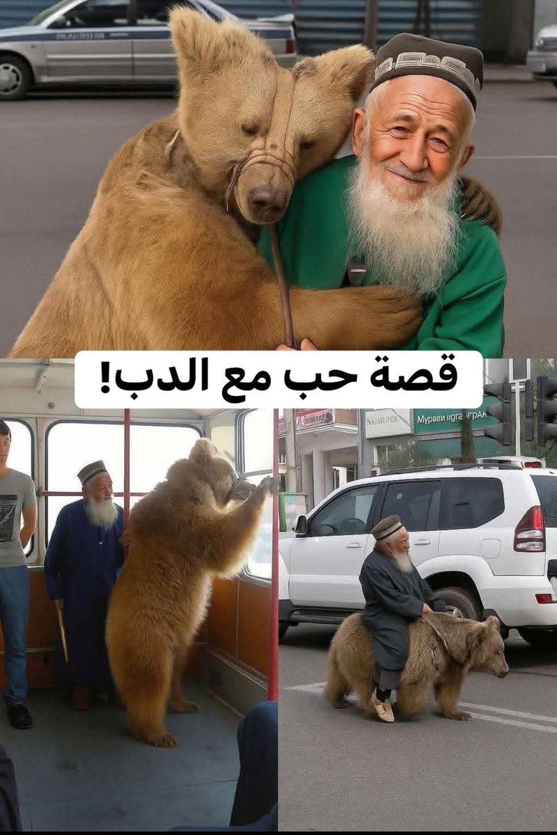 عبدالعزيز عبدالرحمن القرزعي tweet media