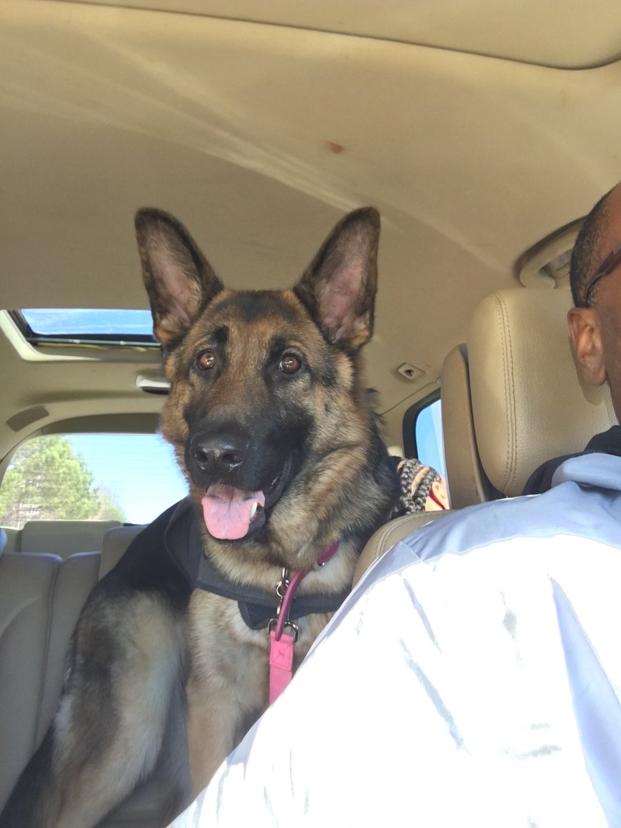 Truffles #NationalDogDay