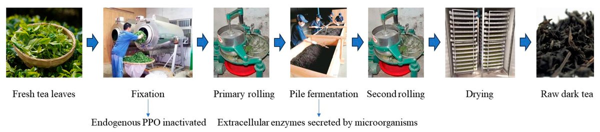 Foods_MDPI's tweet image. #mdpifoods 🔥🔥#HighlyCited Articles
📚&quot;Recent Advances Regarding #Polyphenol Oxidase in Camellia sinensis: #Extraction, Purification, Characterization, and Application&quot;
by Chun Zou et al

Link: mdpi.com/2304-8158/13/4…