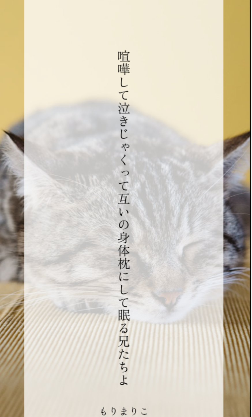 ゼロゼロゼロ もりまりこ 歌集 現代短歌 Amazon.co.jp: ゼロ