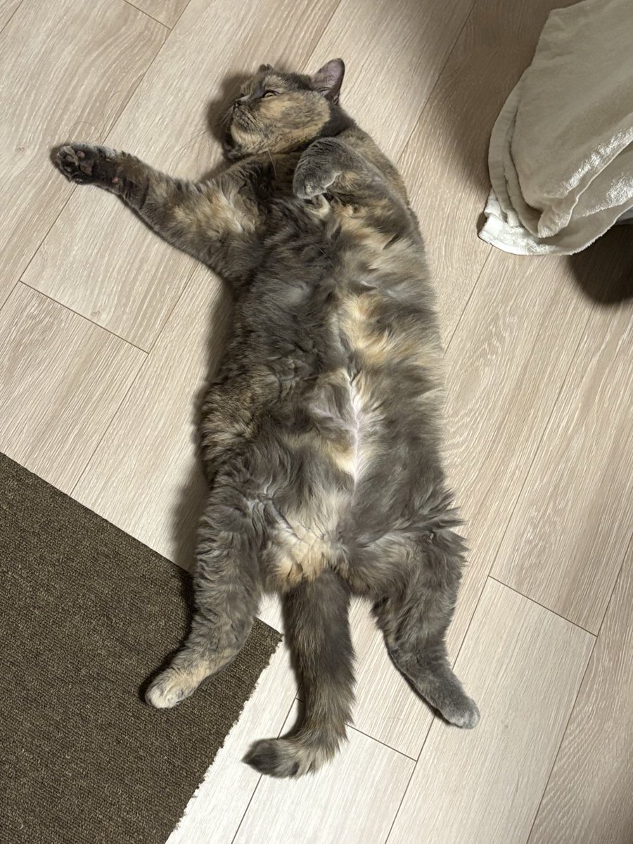 【星 桃次朗】 🌟一番星の桃次郎🍑 (@corpsji) / X