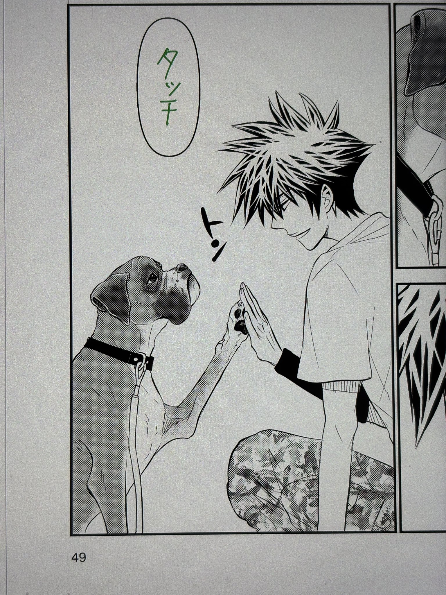 3連休セール⭐︎DOG SIGNAL ドッグシグナル　全巻　おまけ付き Amazon.co.jp: DOG SIGNAL 10 ドッグチャーム付き特装版 (BRIDGE