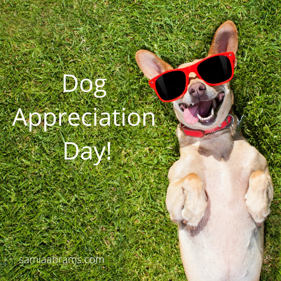 Gotta love those critters!

Let's see your pups! 

#dogs
#funholidays
#pets
#furbabies