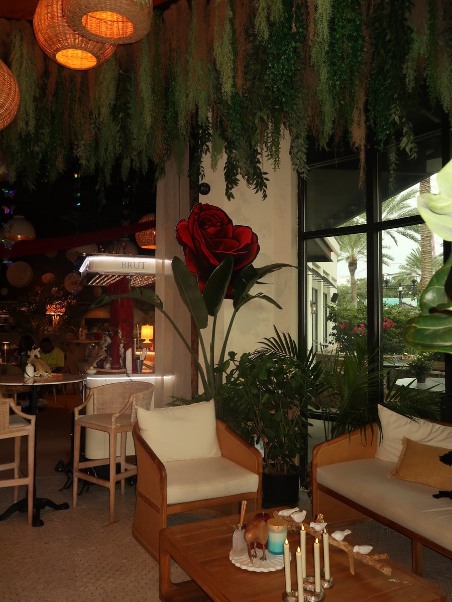 dressed for dinner but she already ate 🪐✨