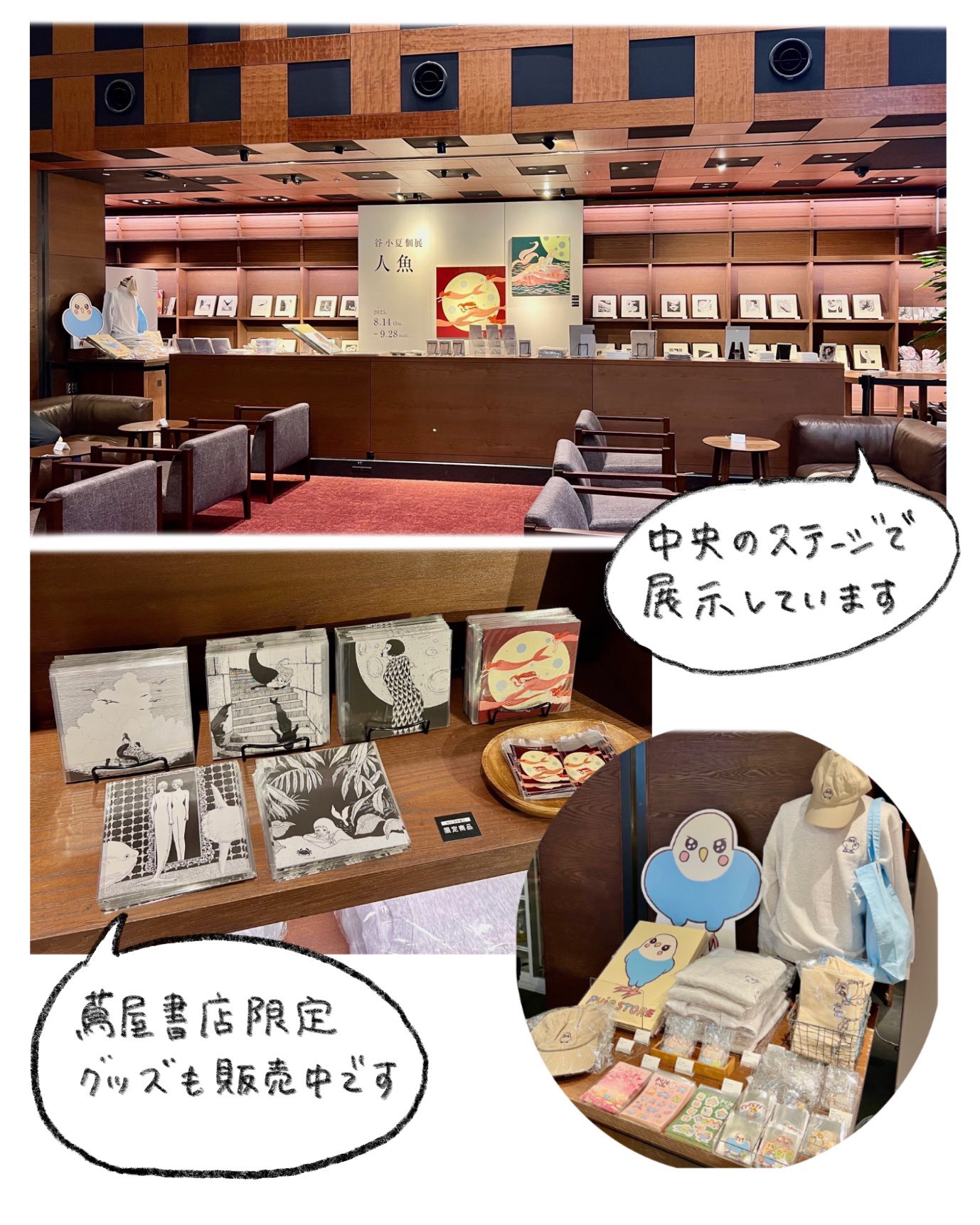 プジェ日記 (@tanikonatsu_2) / X