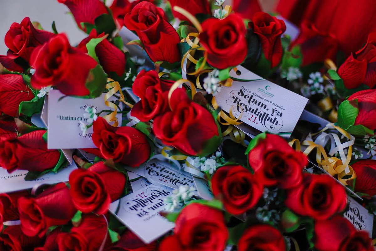 e_secer's tweet image. Saraybosna'da Peygamberimizin doğum günü sebebiyle, 20 yıldan fazla düzenlenen "Selam Ya Resulallah" etkinlikte bu yıl da 571 gül dağıtıldı. Gülleri esnaflar vitrinlerine koyuyor ve geçenlere dağıtılıyor.

Etkinlikte konferanslar, sergiler, ilahi konserleri vs oluyor.