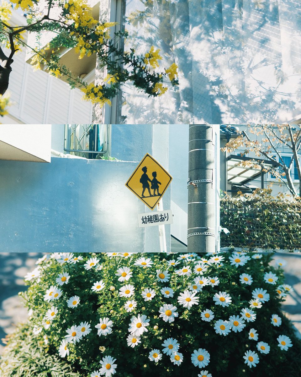 hinamin012's tweet image. 