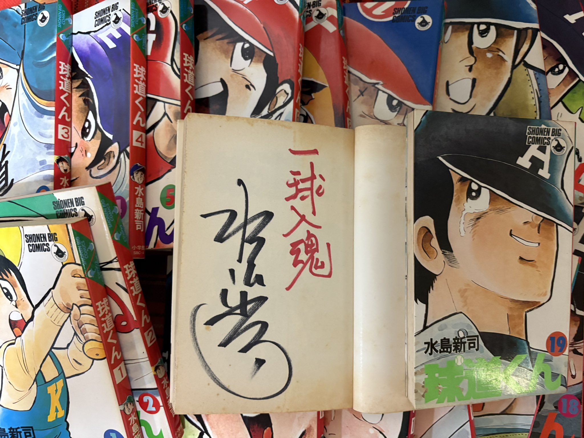 球道くん 1〜16巻のみ[2巻欠け][3巻カバーなし￼]水島新司 小学館￼ 昭和レトロ 小学生館 水島新司 球道くん 全19巻セット 当時物