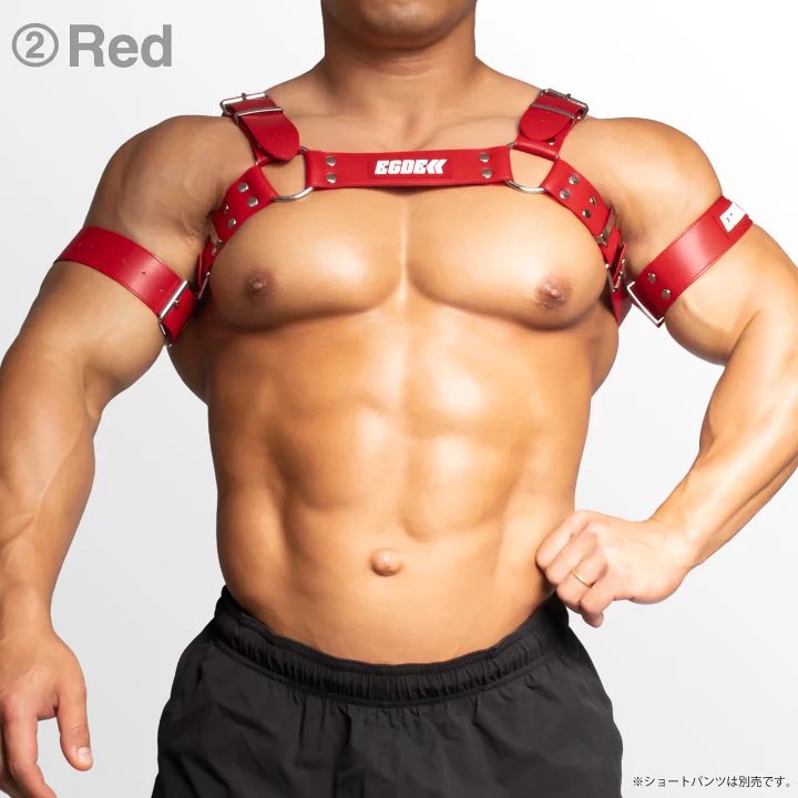 EGDE ハーネス&アームバンドL〜XL ローライズビキニ XXL 2点セット EGDE ハーネス&アームバンドL〜XL ローライズビキニ XXL 2点セット