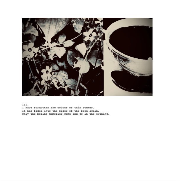 HRMsuzuki's tweet photo. ・

I.
I can see the cumulonimbus spreading fluffy like cotton candy. 
The swallowtail butterfly that is swept away in the wind. 
The crow jumping into the shade of zelkova leaves.

・

#ICYMI: I hope you all enjoy my poem and photo-collages published in BlazeVox, 2021.
Link ⬇️ https://t.co/g3FscoS5Wz