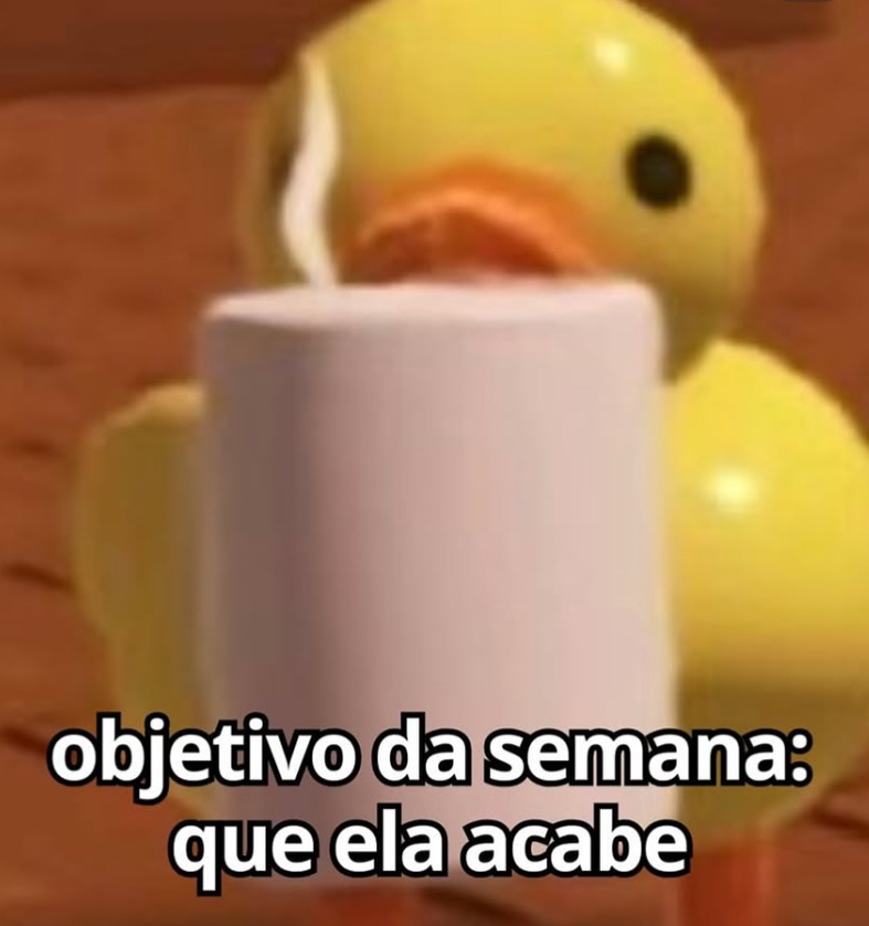 pantynova's tweet photo. terça https://t.co/hCLmrRFuV9