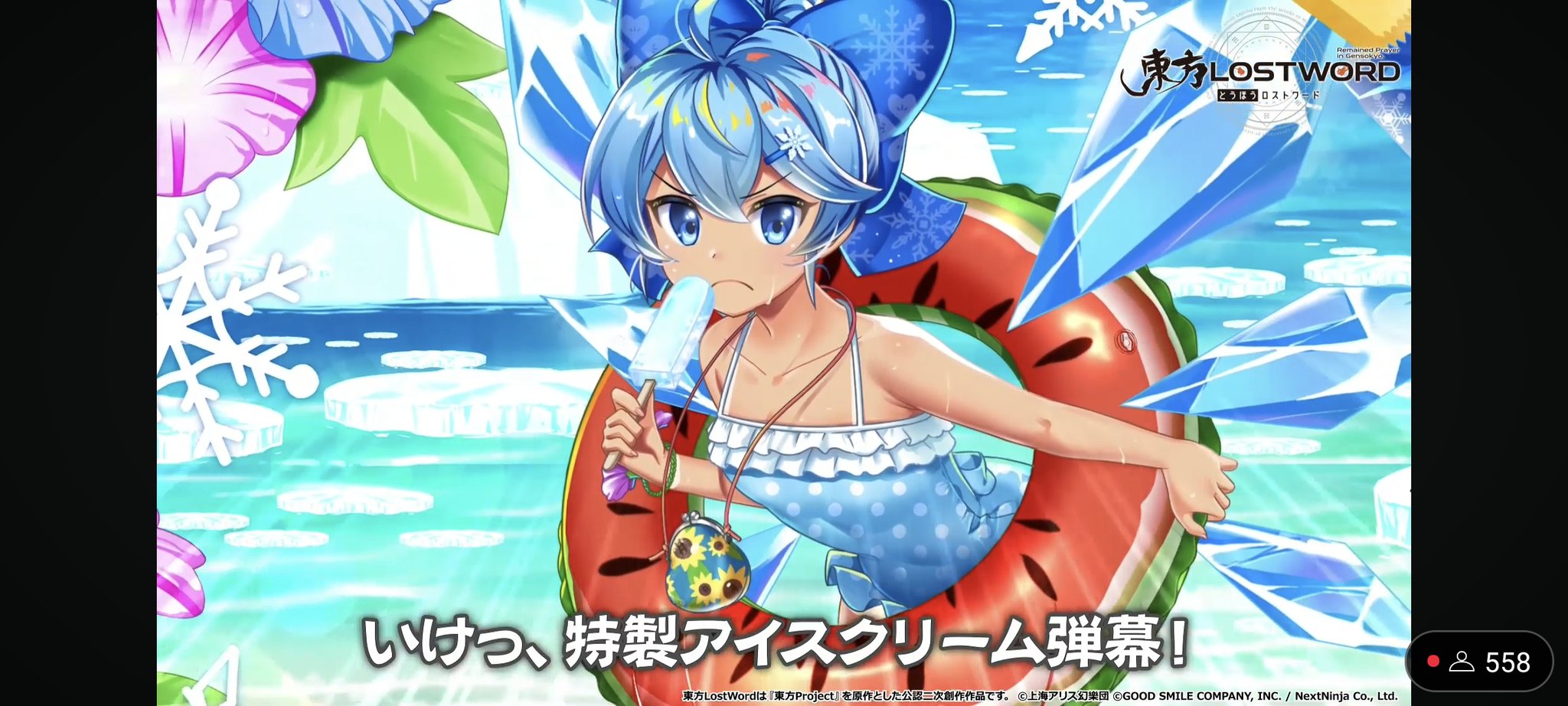 東方project チルノ 超希少 水着 クリアファイル VG2 東方Project】1/7