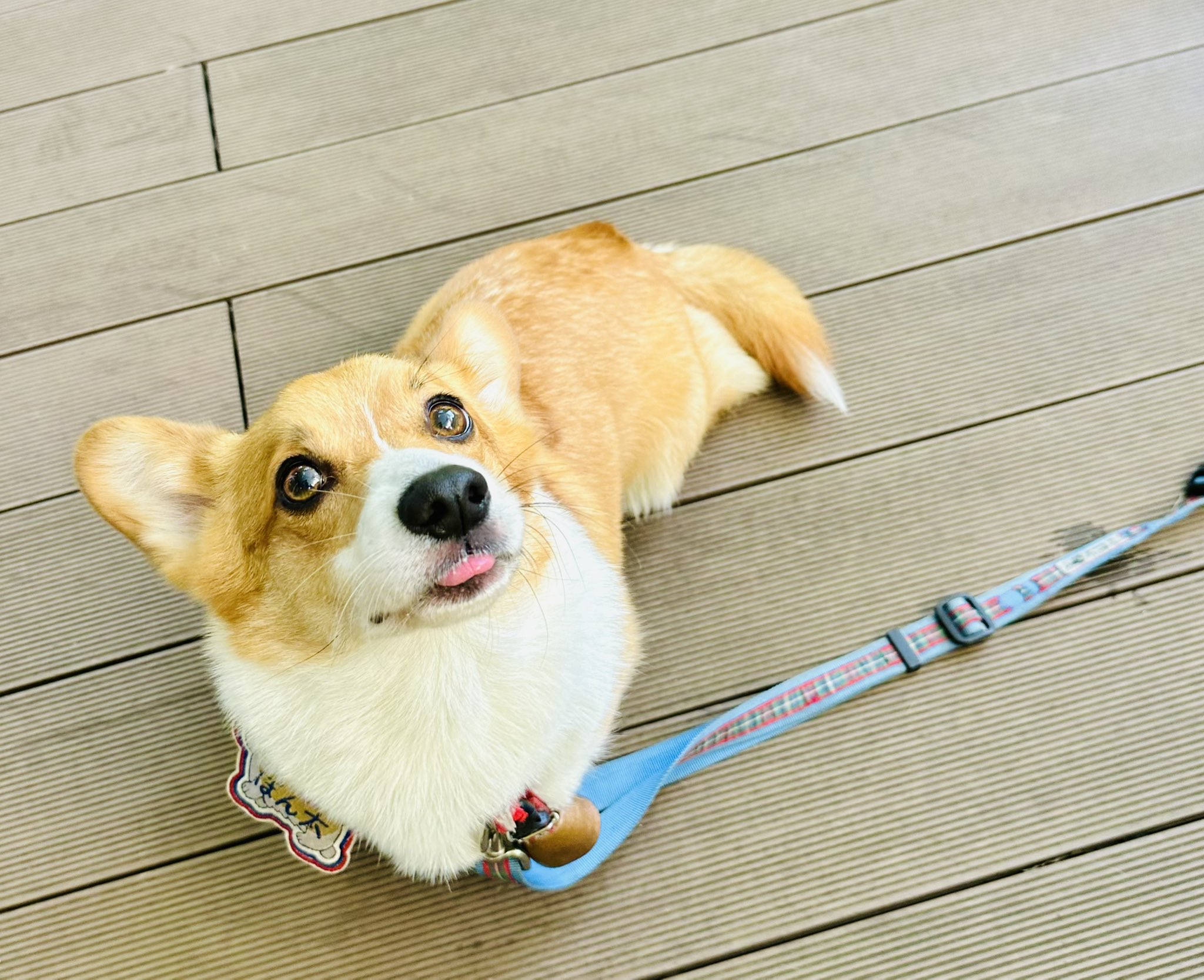 未開封　CORGI　コーギートーイ　グリーンホーネット Yahoo!オークション -「コーギー グリーンホーネット」の落札