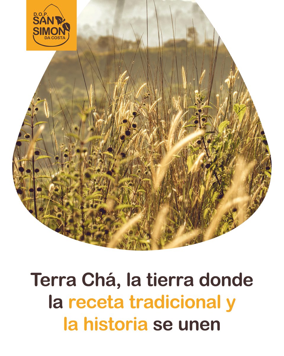 #TerraChá, tierra de quesos e historias, dónde podrás descubrir(te) 🌳

📍 Vilalba, nuestro hogar, con su Torre dos Andrade y su casco antiguo.
🌅 La Lagoa de Cospeito, perfecta para caminar.
🧺 Y por supuesto, queserías, ferias y productos.

Llévate un sabor lo cuente... 😉🧀