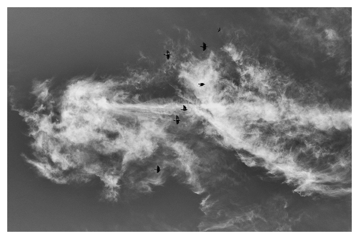 Title Contemporary photography cloud 449 #Contemporaryphotography #Quakers #Photography #Clouds #Universe #Sky #X #Twitter #Scientology #Mormons #Real #雲 #Artnews #News #Life #MoMAMagazine #MoMAPS1 #UAP #Elon #SETI #Universe #Culture #Art #Arte #WOWSignal #WOWシグナル