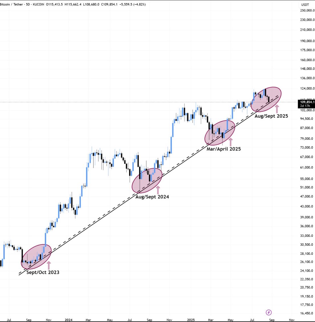 The ₿itcoin Therapist tweet media