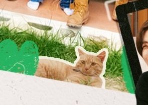 cute orange cat ಥ⁠‿⁠ಥ