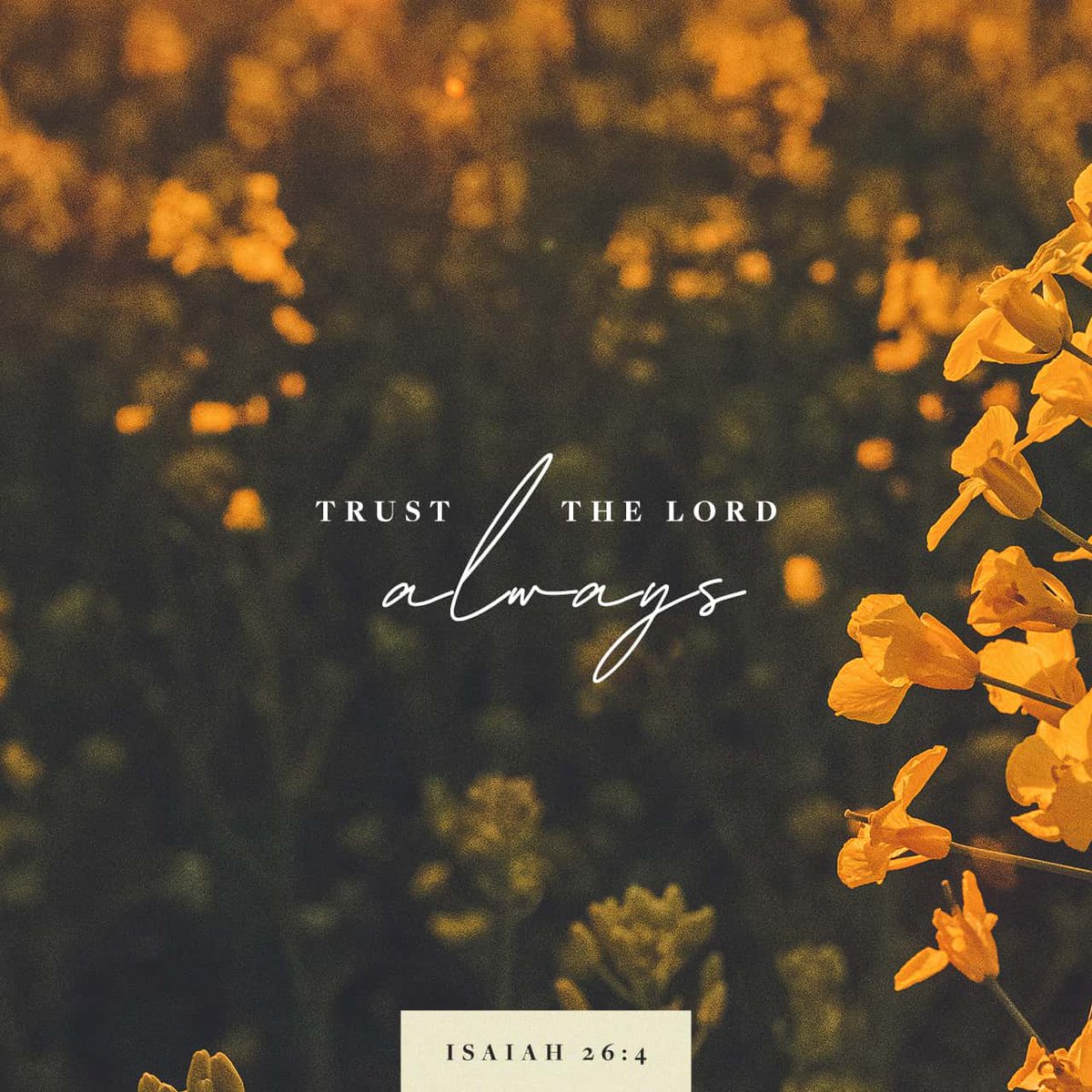YouVersion's tweet photo. Isaiah 26:4 https://t.co/Ky6366DLLQ