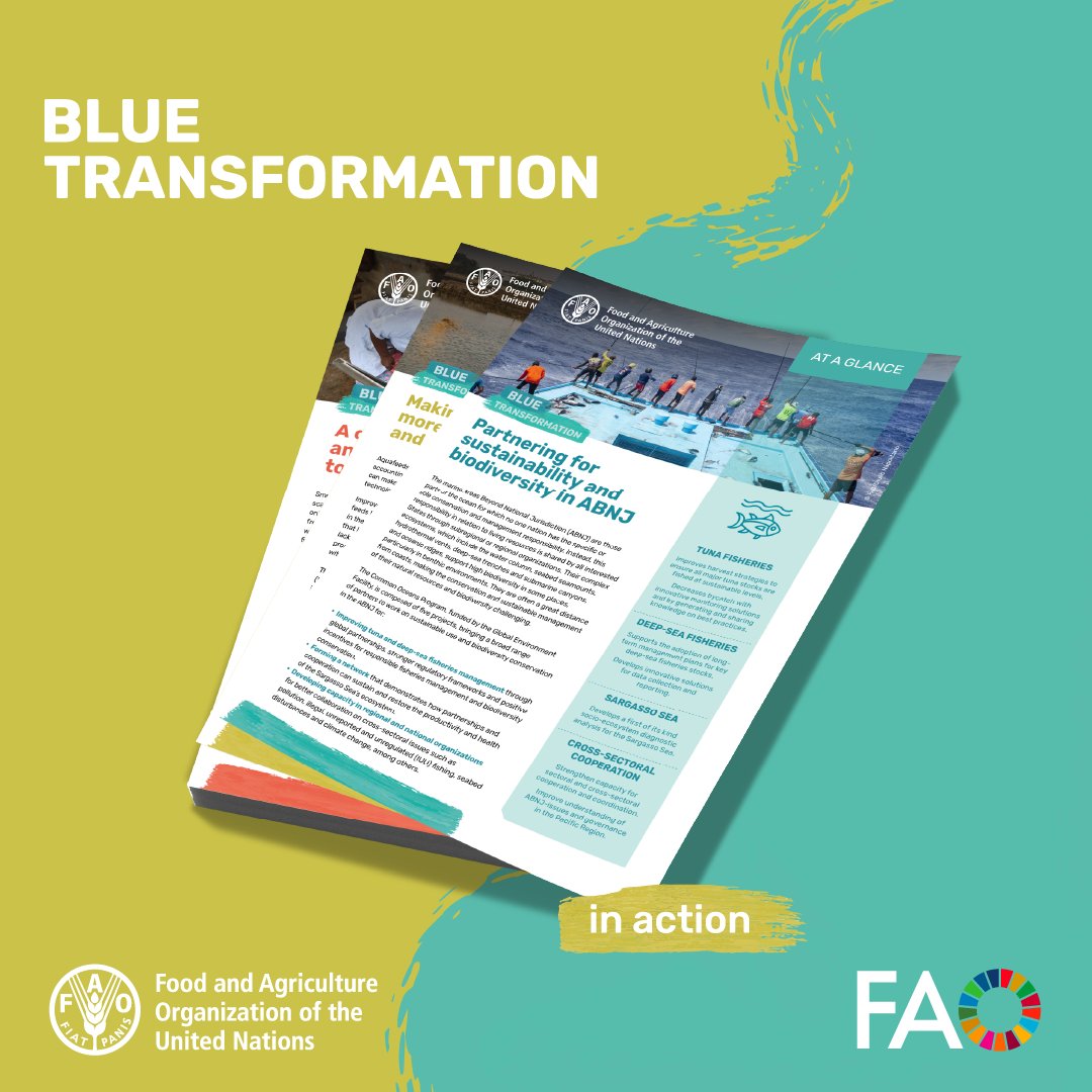 From tuna to deep-sea fisheries &amp; the Sargasso Sea, the #CommonOceans Program brings partners together to conserve biodiversity &amp; manage resources in #ABNJ, supporting #BBNJ goals through science, capacity building &amp; cooperation.

Read more 🔗 doi.org/10.4060/cd1419…