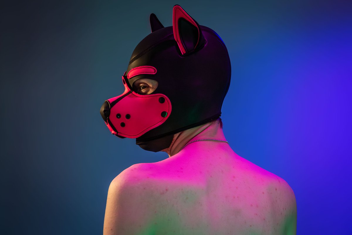 More photos from a wee photoshoot by <a href="/that_pup_max/">Pup Max 🔜 ???</a>