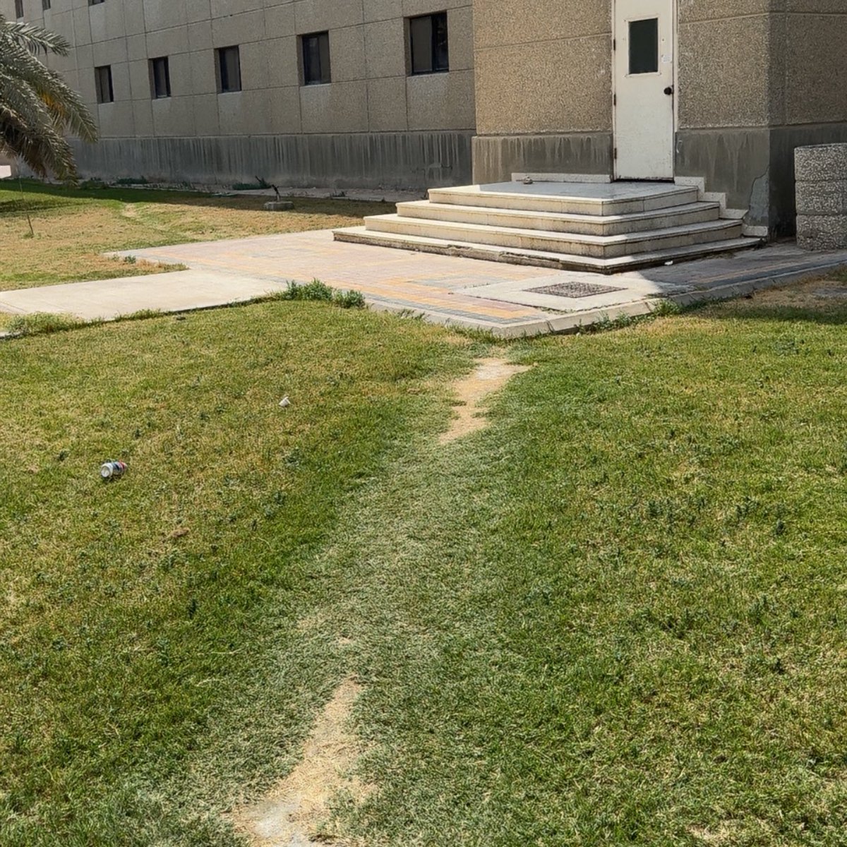 * Desire paths @ KFUPM