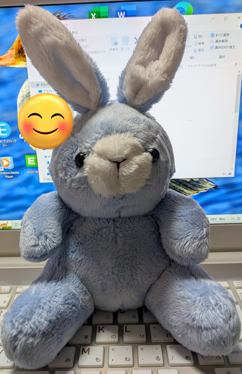 BanMof ばんばぱえりあ ラッコ ブラウン ぬいぐるみ