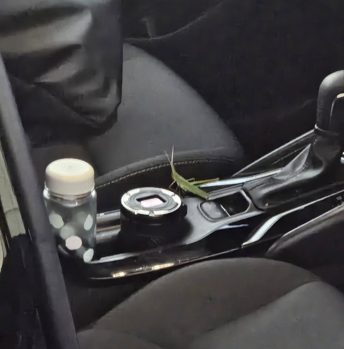 お分かりになるでしょうか。

会社から帰ろうとして車のドアを開けた次の瞬間、車中に全長2m(推定)はある巨大生物の姿。唐突に生命の危機に瀕し卒倒しそうになるのを持ち堪え、スマホから沖縄の米軍基地に日米安全保障条約に基づく領土防衛と邦人保護を要請した後に力尽きその場に倒れていたそうです。