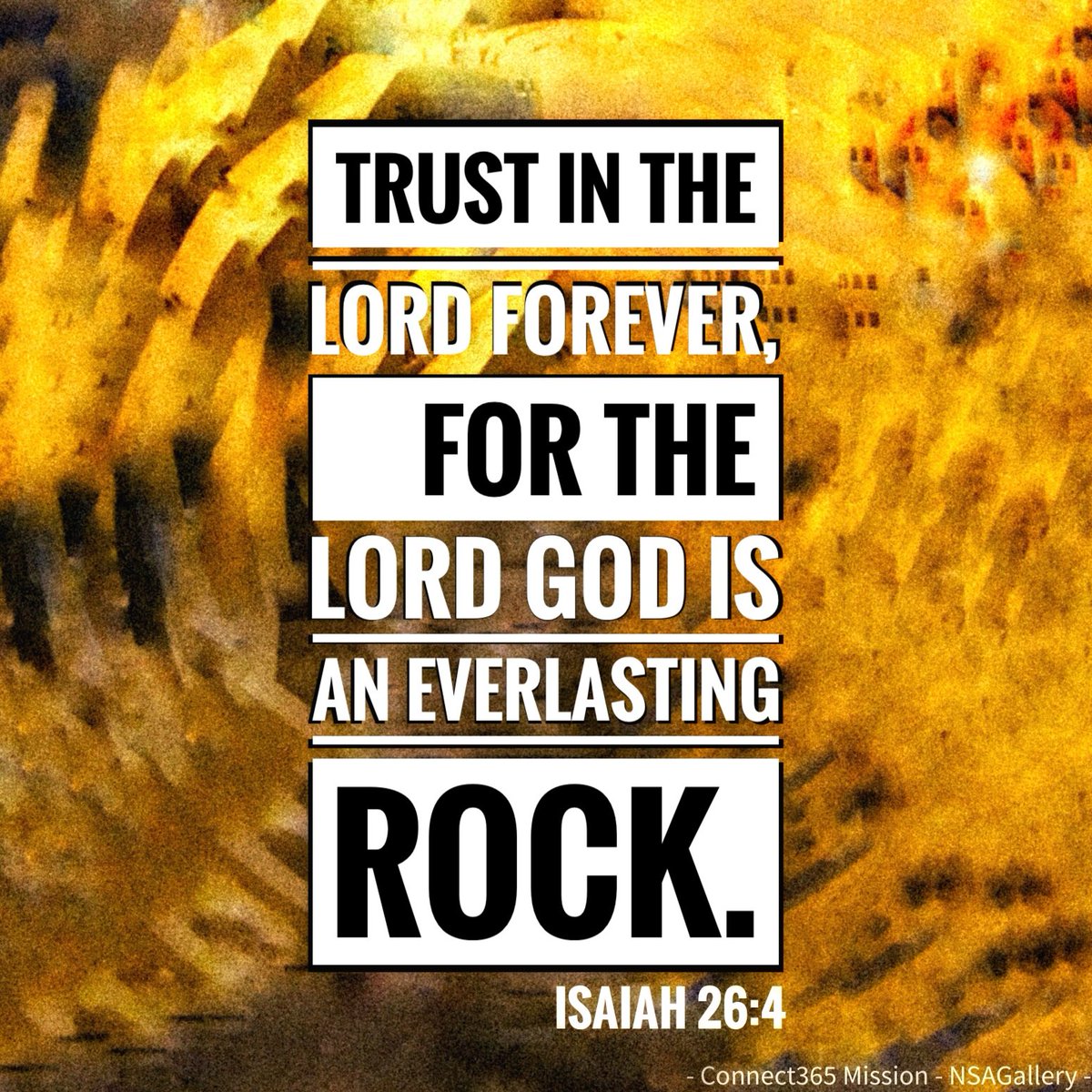 Michael P Ascani (@savlifeonline) on Twitter photo 