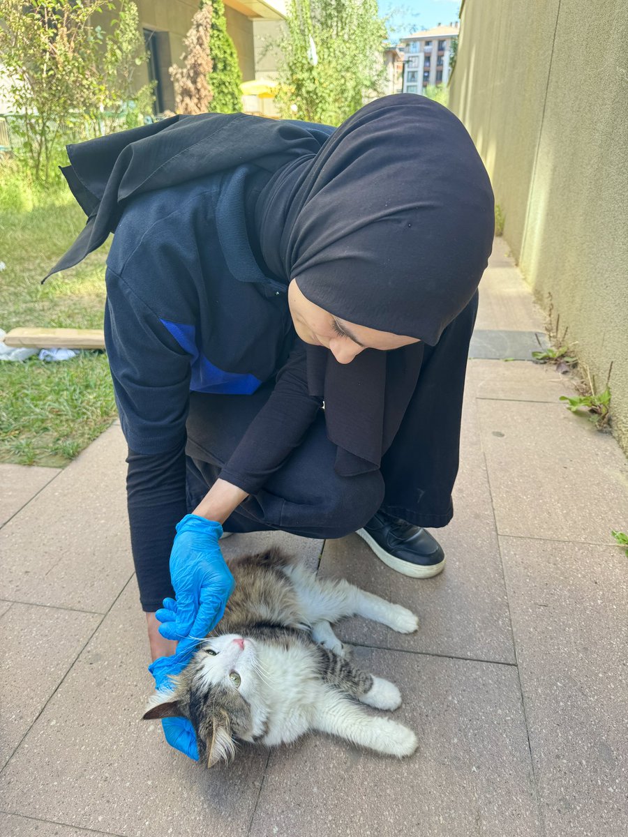 Üsküdar Belediyesi Minik Dostlar Kliniği (@uskminikdostlar) on Twitter photo 📍Minik Dostlar Saha Ekibi
Kırık ameliyatı sonrası tedavisi tamamlanan minik dostumuzu, sağlıkla alındığı yere geri bırakıyoruz. Sokaktaki hayatına daha güçlü devam etmesi için yanındayız💙🐾
<a href="/uskudarbld/">Üsküdar Belediyesi</a> <a href="/sdedetas/">Sinem Dedetaş</a> 📍Minik Dostlar Saha Ekibi
Kırık ameliyatı sonrası tedavisi tamamlanan minik dostumuzu, sağlıkla alındığı yere geri bırakıyoruz. Sokaktaki hayatına daha güçlü devam etmesi için yanındayız💙🐾
<a href="/uskudarbld/">Üsküdar Belediyesi</a> <a href="/sdedetas/">Sinem Dedetaş</a>