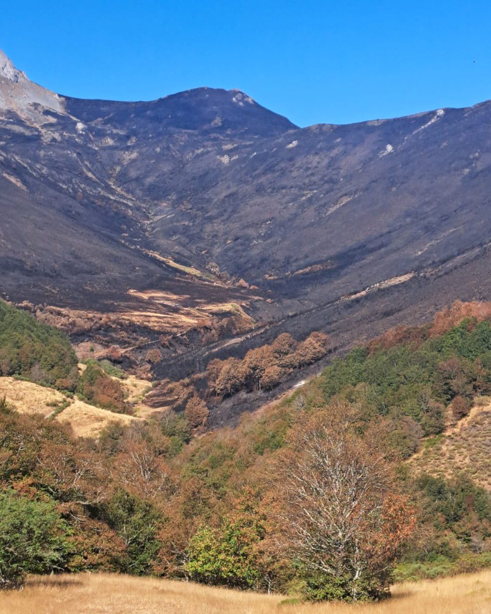 Efectos del fuego en el entorno de los Picos de Europa