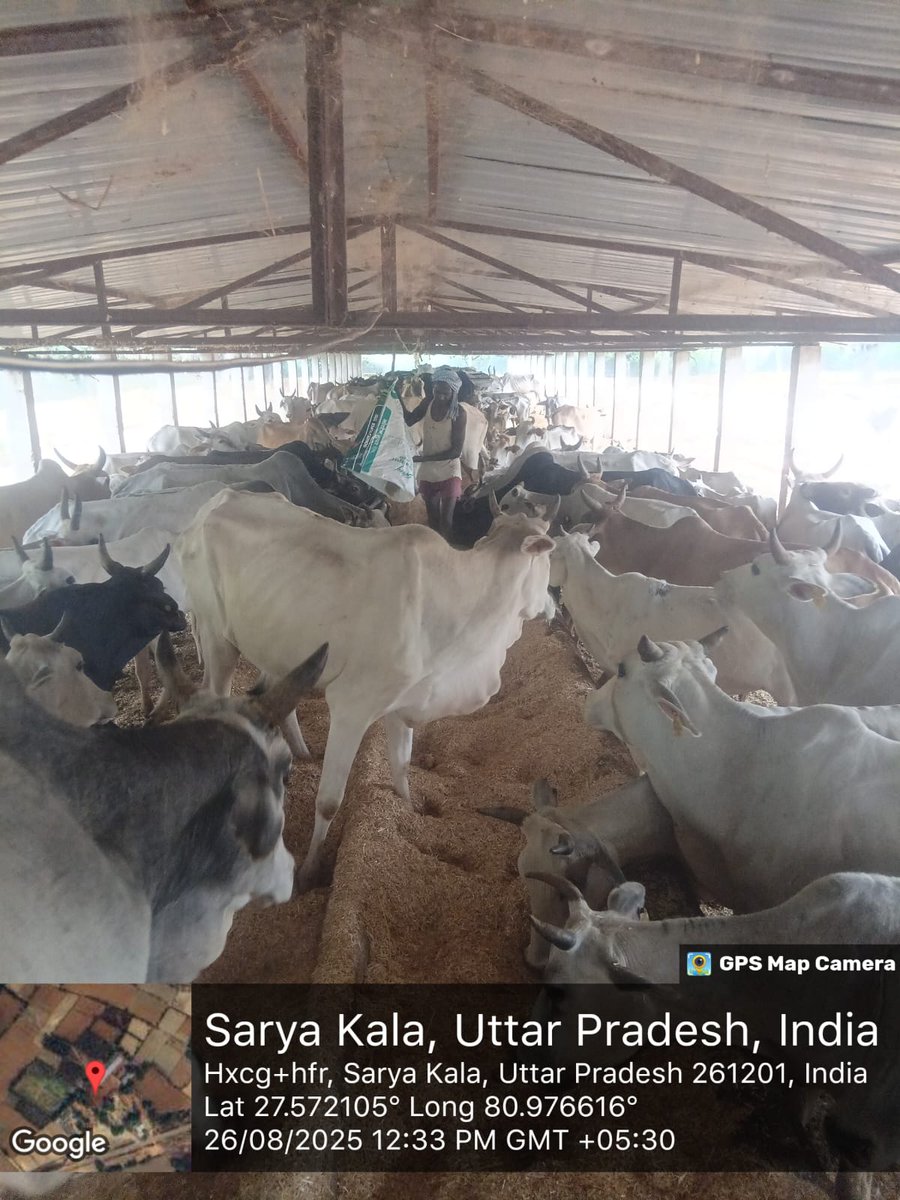 BdoSakran's tweet photo. अस्थाई गोआश्रय स्थल सरैया कला विकास खंड सकरन, सीतापुर https://t.co/r6zy7yWQFG