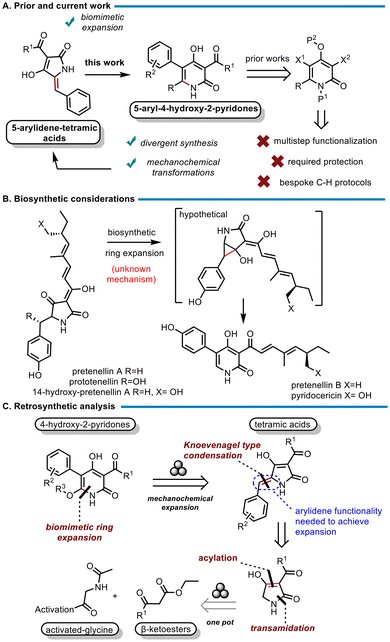 Alex Zografos tweet media