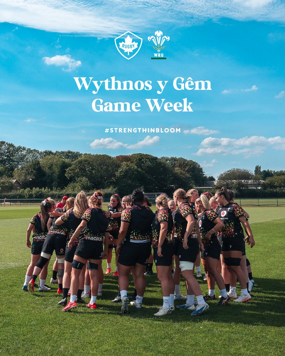 WelshRugbyUnion's tweet photo. ๐ฅ ๐๐ฎ๐ฉ๐๐ฃ๐ค๐จ ๐ฎ ๐๐๐ข | ๐ด๓ ง๓ ข๓ ท๓ ฌ๓ ณ๓ ฟ๐๏ธ๐จ๐ฆ
We go again this Saturday in Manchester ๐ช
๐๏ธ 30.08.25
โฐ 12pm KO
๐๏ธ Salford Community Stadium
๐ @rugbyworldcup
๐คณ #WALvCAN
๐บ @BBCSportWales
#StrengthInBloom | #RWC2025 https://t.co/FCqan6kP2H
