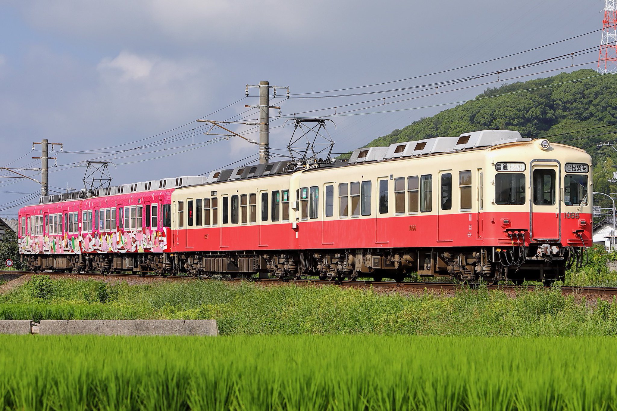 こうやぎ。 on X: 