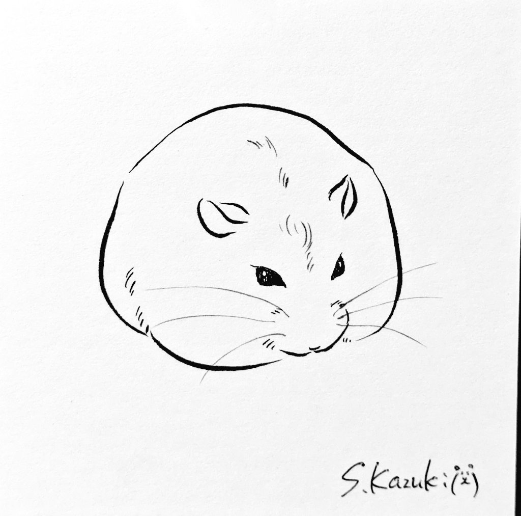 ハムスターの「◯」と言っても可愛い◯が色々あってだな…🐹
#みんなの丸も見せてほしい 
#ハムスター