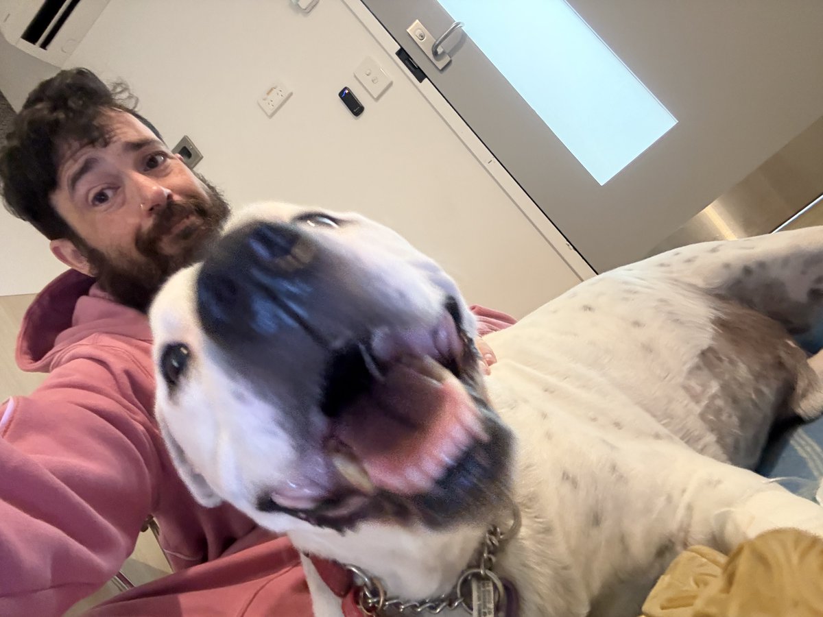 CryptoJimmybraz's tweet image. Miss you so much Axel 😔