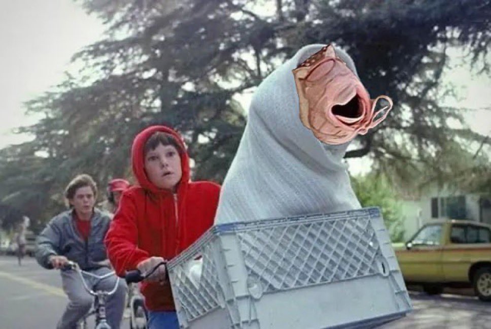 Laughing Shoe tweet media