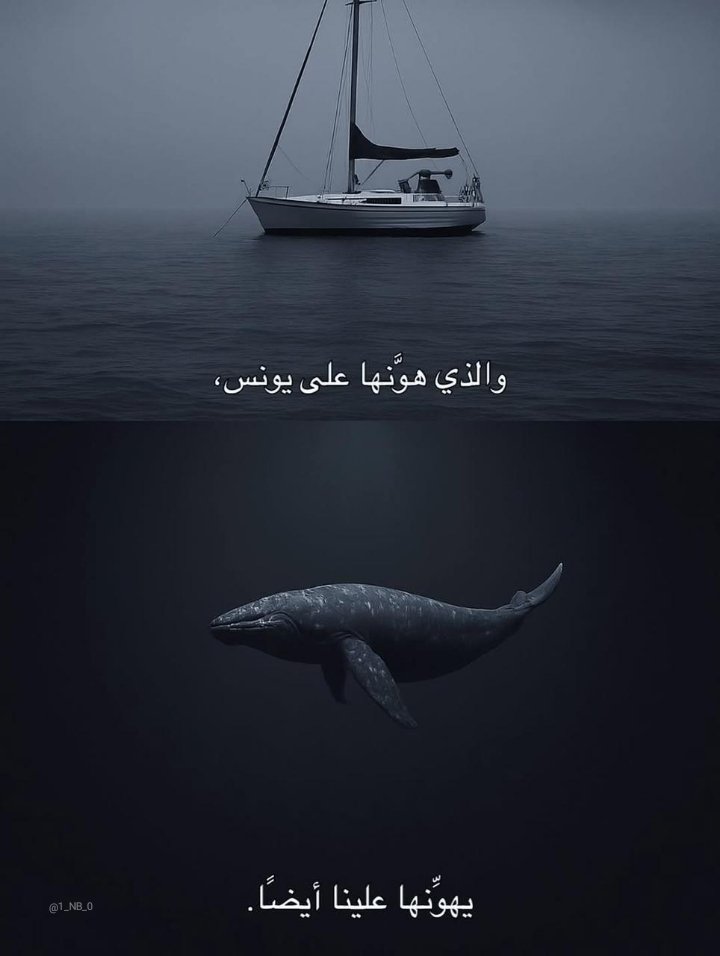 almsllim's tweet image. 