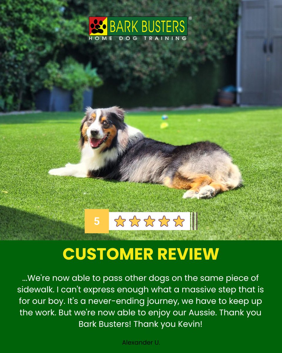 barkbusterla's tweet image. 🐕💡 Training that fits your lifestyle! Our sessions happen where your dog is most comfortable—at home—so results last. 🐾❤️ Learn more: barkbusters.com/dog-training/g…
 #InHomeTraining #BetterBehavior
