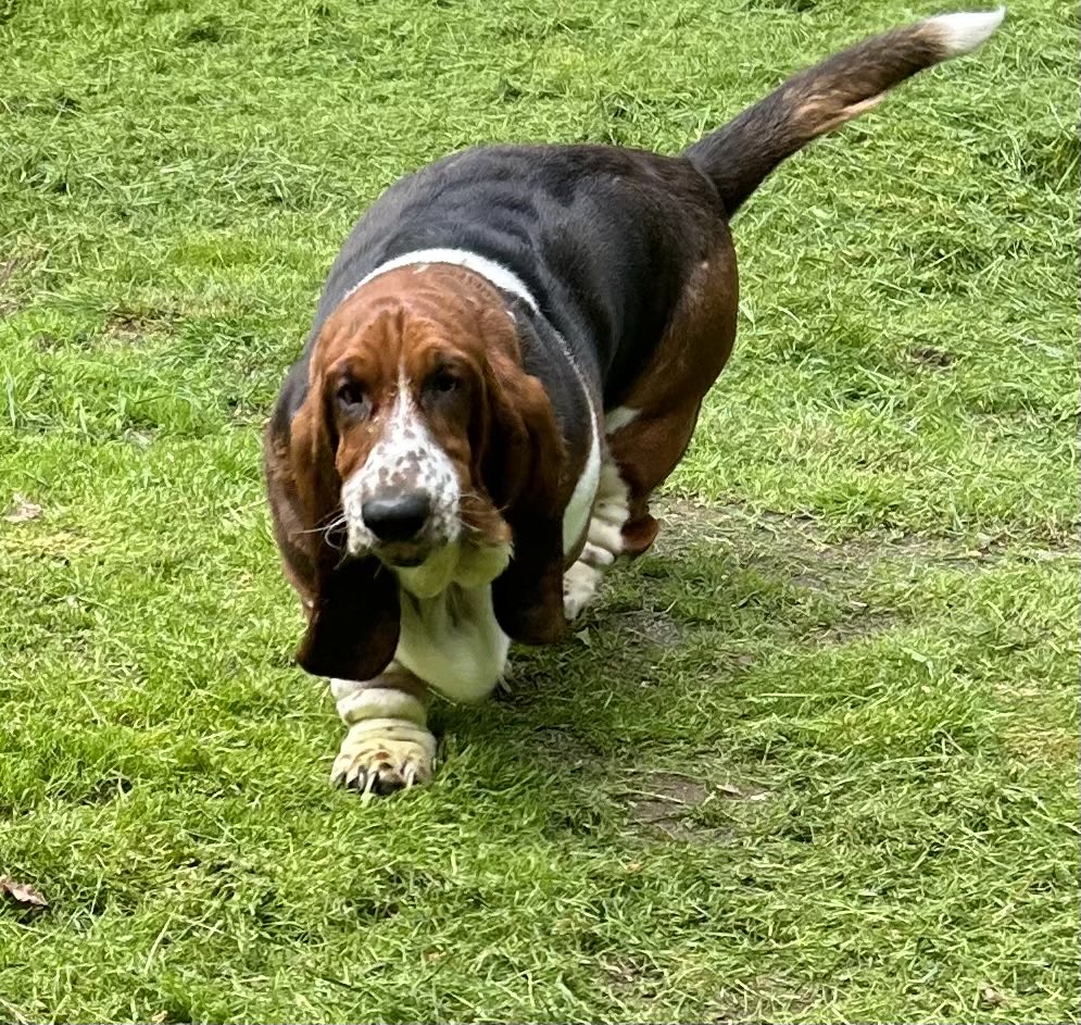 🌈🙏 Elvis and Patrick tweet media