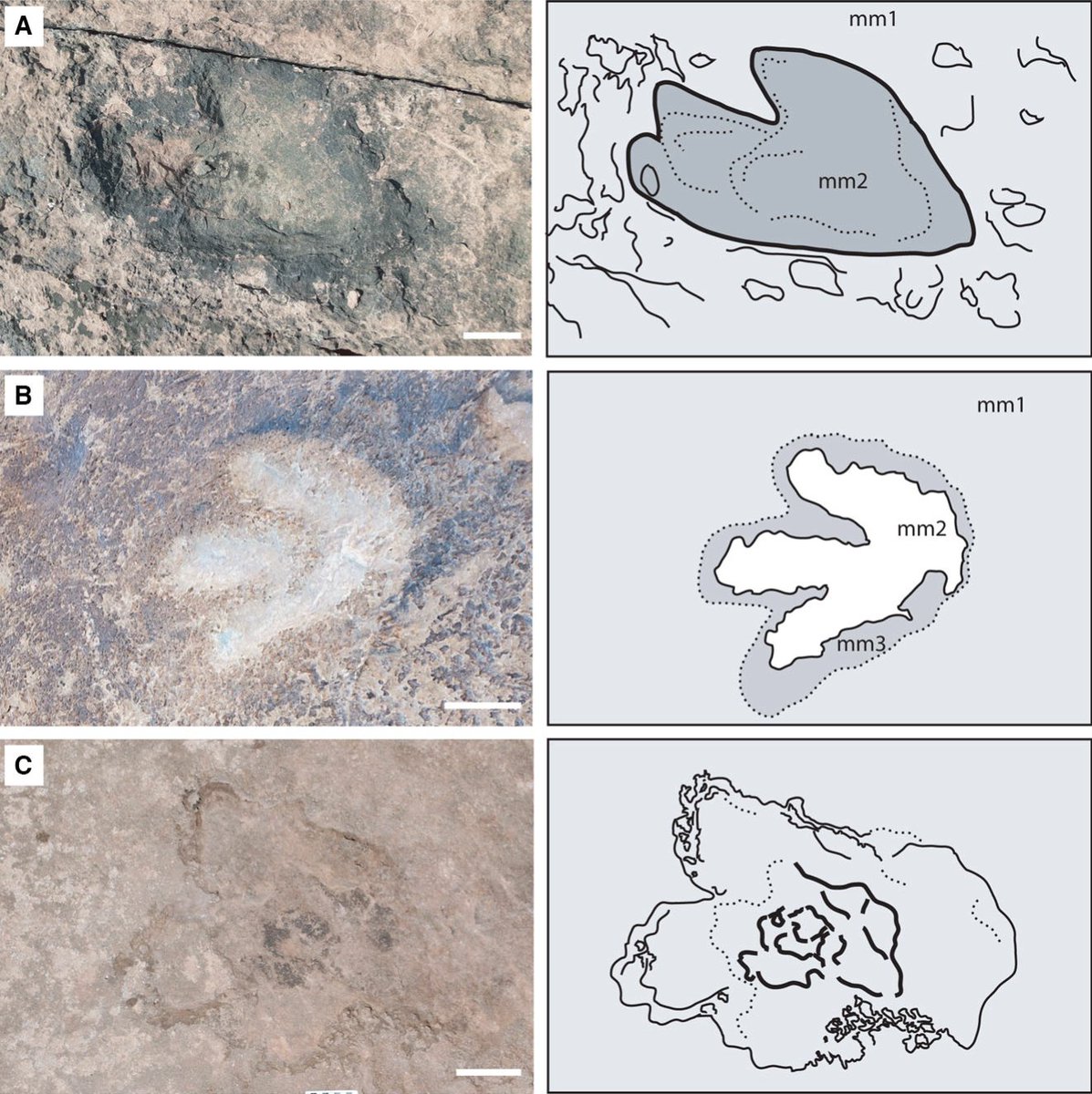 uoichiba (@uoichiba1027) / X