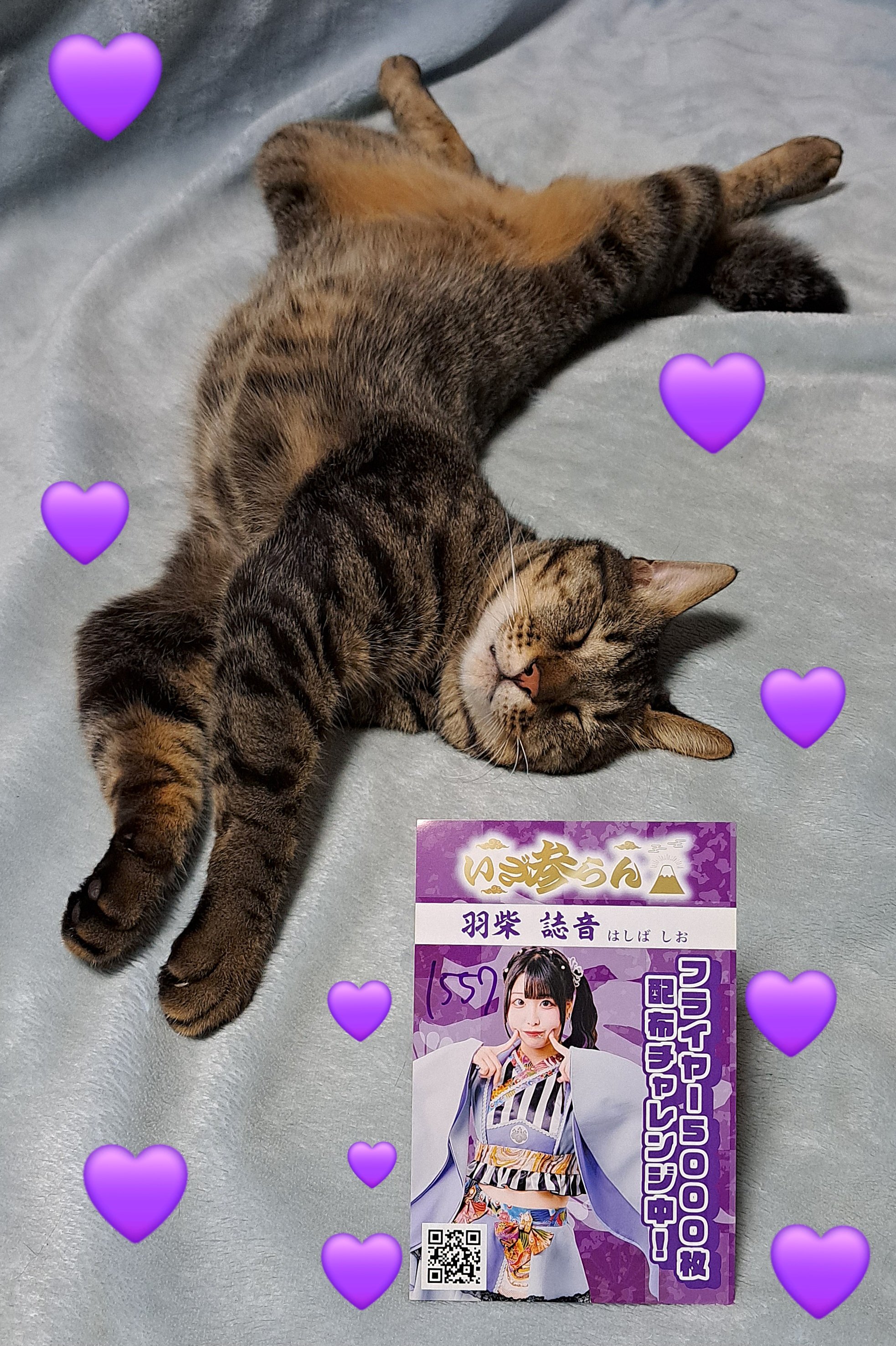 ❤みけねこ屋本舗さま❤高次元量子術エナジー音源❤ えいじ🐱💙✨️ on X: 