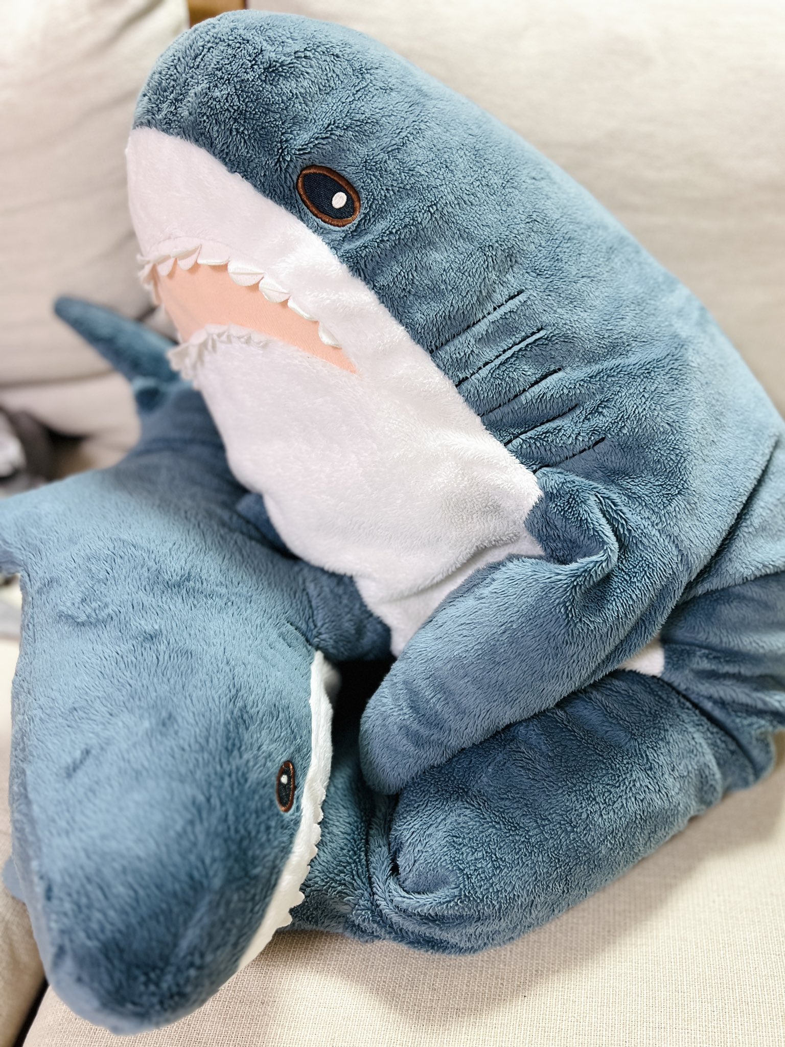 Bluena Shark (@bluenashark) / X