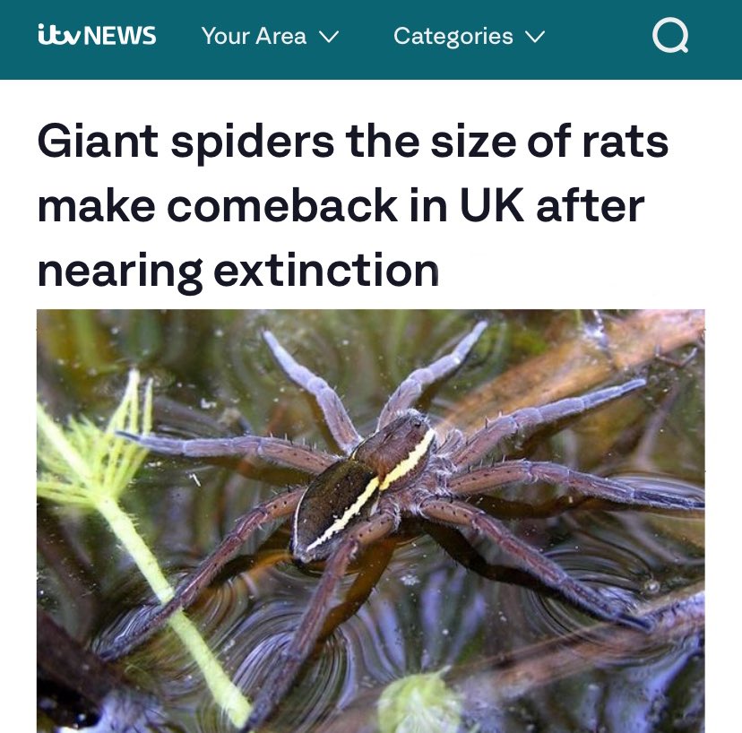 No Context Brits (@nocontextbrits) on Twitter photo Excellent news. Excellent news.