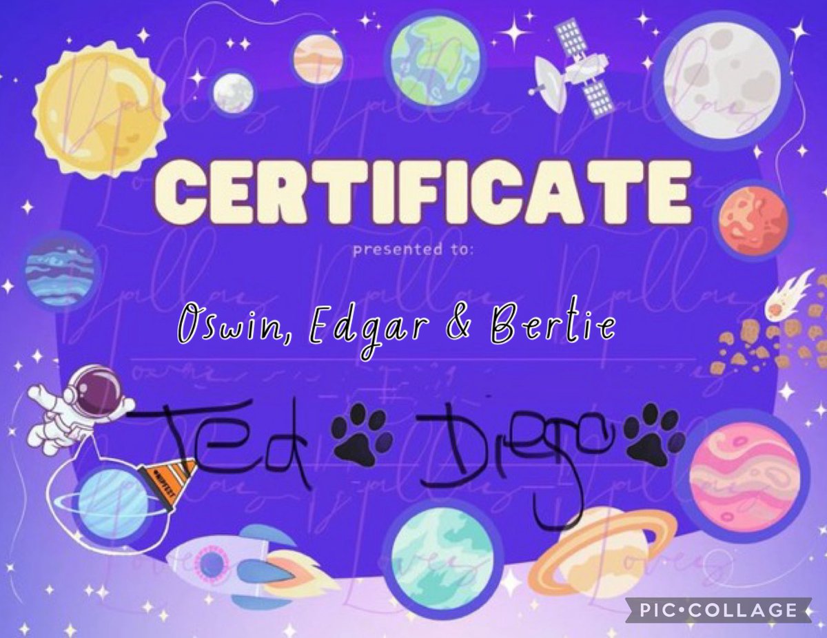 OswinEdgar's tweet photo. #CatsonMars #Nipfest2025 And here is our certificate that proves we went to Mars! https://t.co/kCcKEcFj6m